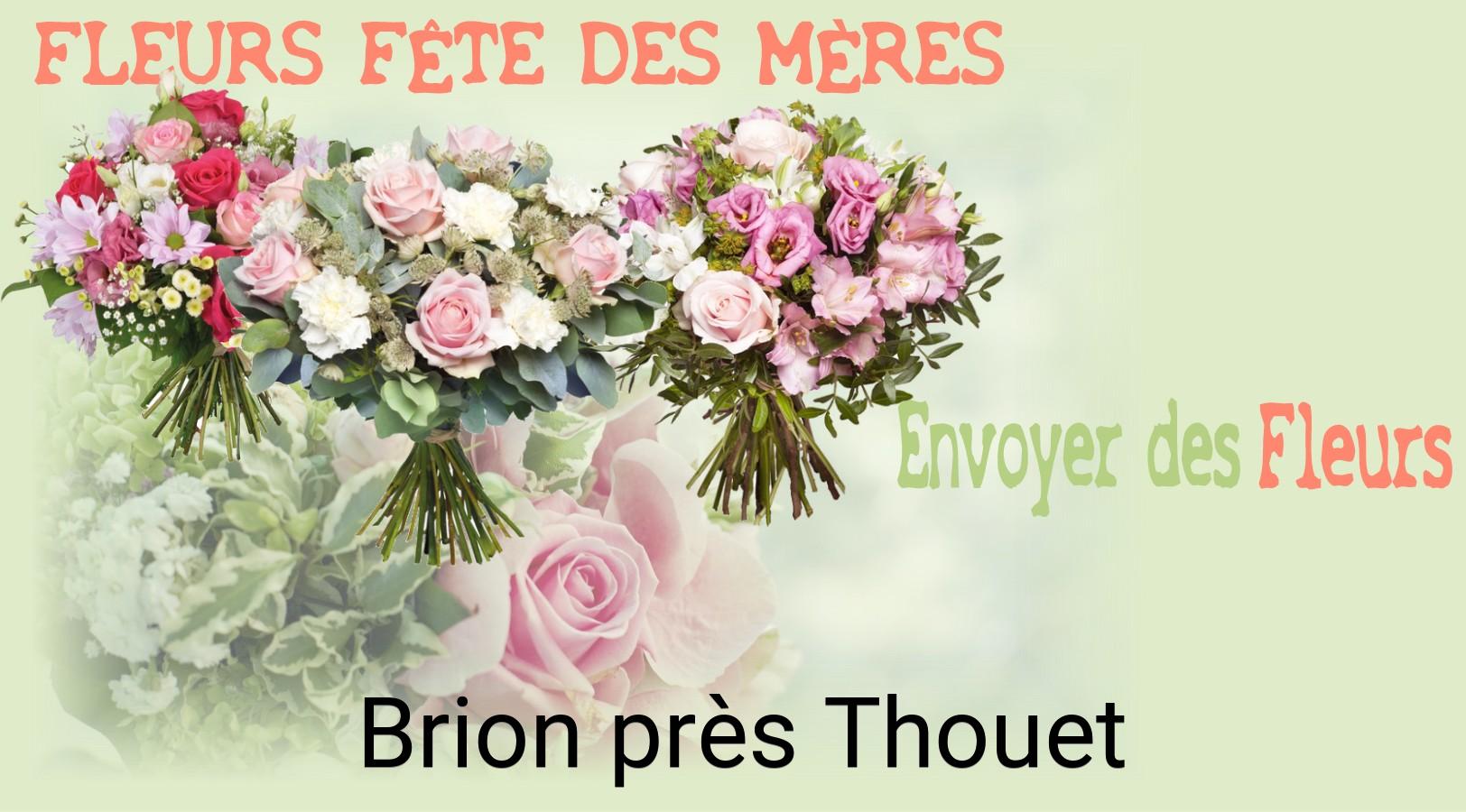 Bouquet de Fête des Mères livré à Brion-près-Thouet